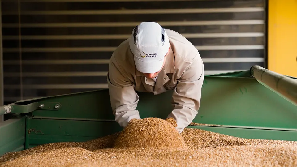 Mitarbeiter prüft Getreide in einer Mühle, Doku 15 Jahre GoodMills Group